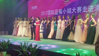 安陽(yáng)設(shè)計(jì)策劃與全方位活動(dòng)解決方案